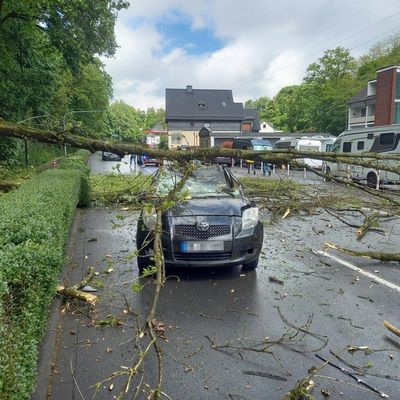 FW-EN: Massiver Baum stürze auf fahrenden Pkw - Zwei Verletzte bei Unfall in Herdecke - Großes Glück für Insassen