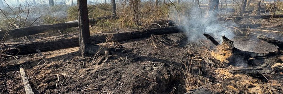 FW Kreis Soest: Erste Folgemeldung Waldbrand Möhnesee