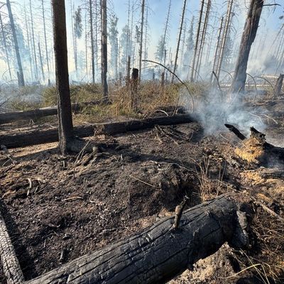 FW Kreis Soest: Erste Folgemeldung Waldbrand Möhnesee