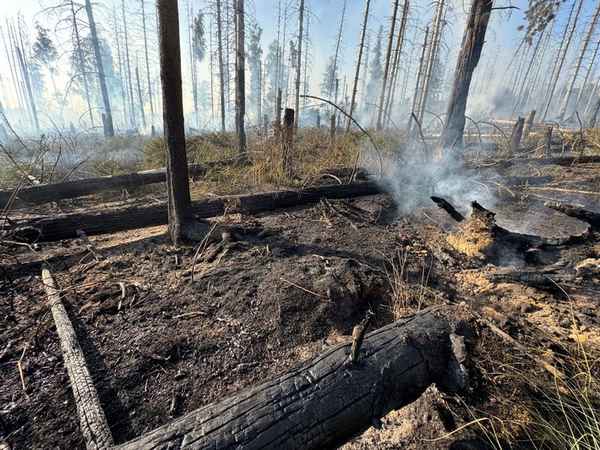 FW Kreis Soest: Erste Folgemeldung Waldbrand Möhnesee