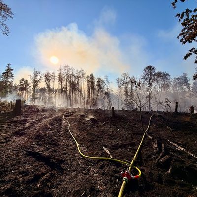 FW LK Neunkirchen: Großflächiger Waldbrand am Wingertsweiher fordert mehrere hundert Einsatzkräfte über zwei Tage