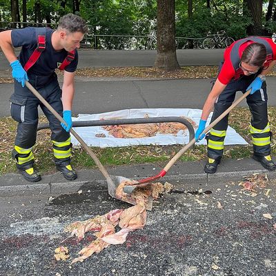 FW-M: Tierische Sauerei (Isarvorstadt)