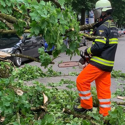 FW-M: Herabfallender Ast beschädigt mehrere Fahrzeuge (Neuhausen)