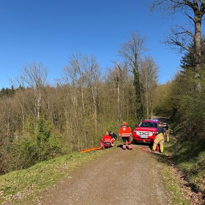 FW Weinheim: Vom Waldweg abgekommen und abgerutscht - Weinheimer Feuerwehr rettet zwei Spaziergänger oberhalb des Funkturms Nächstenbach