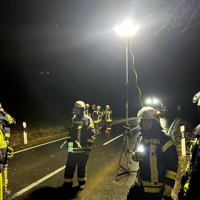 FW Ense: Baum auf Fahrbahn