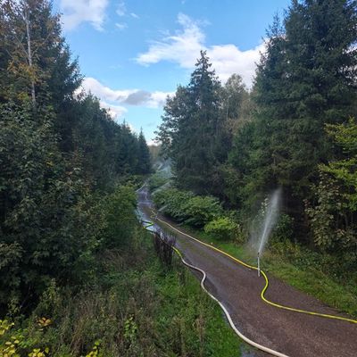 FW-AR: Wasser, Drohnen, Riegelstellung: Feuerwehr Arnsberg simuliert Ernstfall im Wald