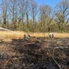 FW-DO: Vegetationsbrand im Naherholungsgebiet Kurler Busch