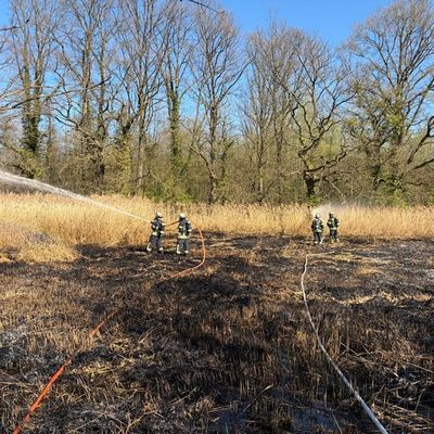 FW-DO: Vegetationsbrand im Naherholungsgebiet Kurler Busch
