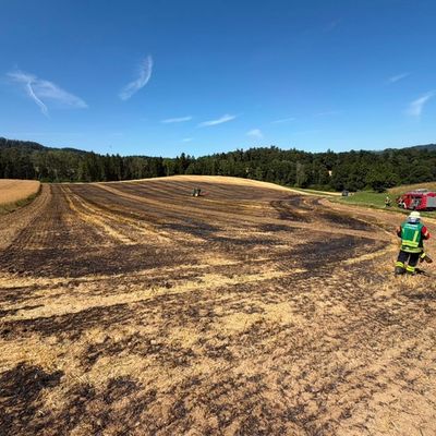 FW Überlingen: Flächenbrand / rund 2.000 Quadratmeter in Flammen / Feuer schnell gelöscht