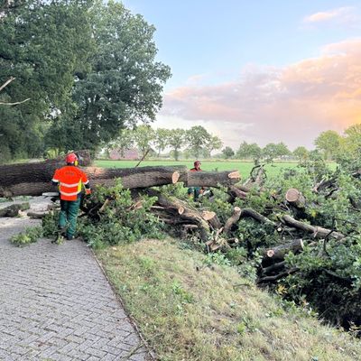 FW-AUR: Straße von umgestürzten Baum freigeräumt