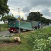 FW-KLE: Verkehrsunfall mit Traktorgespann - Baum stürzt auf Fahrbahn