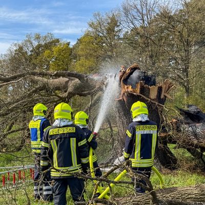 FW Flotwedel: Zwei Einsätze binnen sechs Stunden in Wienhausen