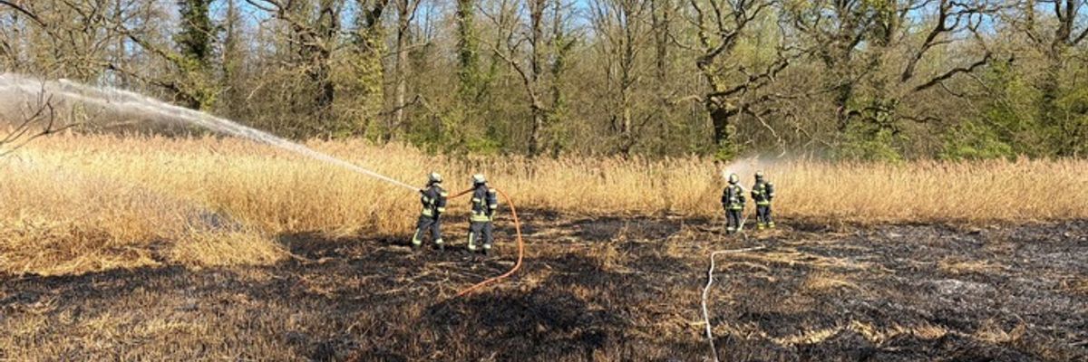 FW-DO: Vegetationsbrand in Naherholungsgebiet Kurler Busch