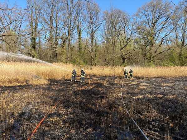 FW-DO: Vegetationsbrand in Naherholungsgebiet Kurler Busch