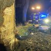 FW Lüchow-Dannenberg: +++ Erneut schwerer Verkehrsunfall in Lüchow-Dannenberg +++ PKW prallt gegen Baum, Fahrer wird schwerverletzt eingeklemmt +++