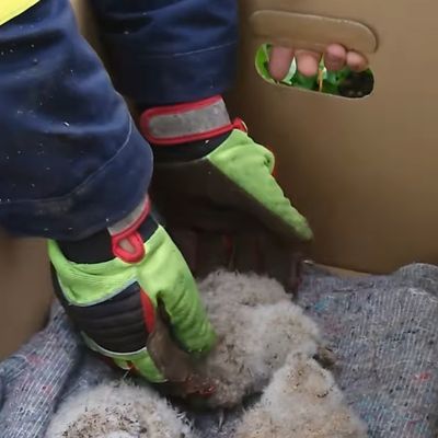 FW VG Westerburg: Unwetter wütet über Verbandsgemeinde Westerburg - Feuerwehren im Dauereinsatz