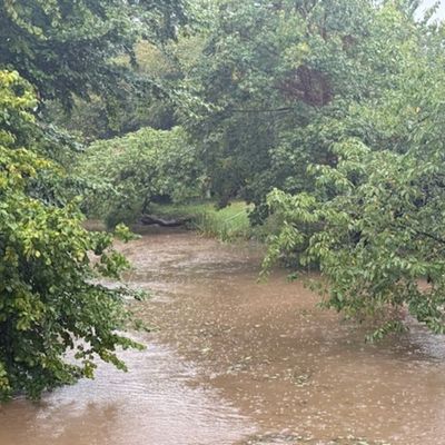 FW Grevenbroich: Hochwasserwarnung für Grevenbroich nach Starkregenlage über NRW - Feuerwehr überwacht und koordiniert Gefahrenlage kontinuierlich im Führungsstab