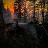 FW Kreis Soest: Waldbrand bei Möhnesee: 130 Einsatzkräfte kämpfen weiter gegen die Flammen