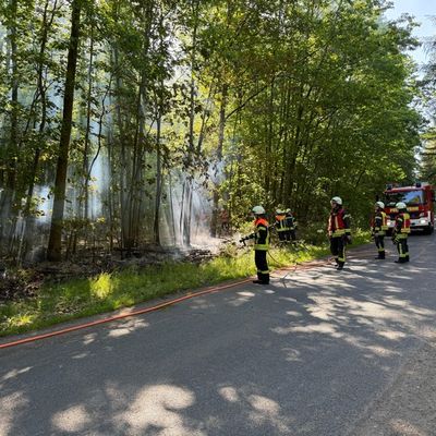 FW-ROW: Wald gerät in Brand in Kirchtimke