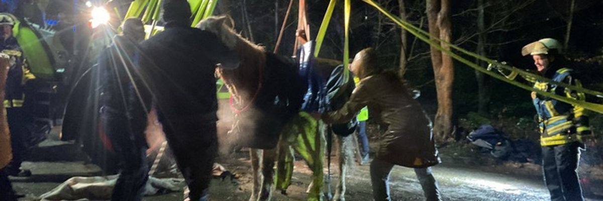 FW-BO: Gestürztes Pferd in Höntrop: Feuerwehr Bochum leistet Unterstützung