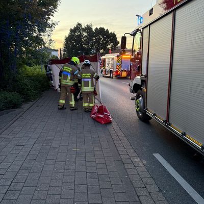 FW-DT: Alleinunfall - Eine Person verstorben