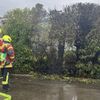 FW Reichenau: Brennende Hecke schnell gelöscht, Reichenau-Mittelzell, 16.04.2025