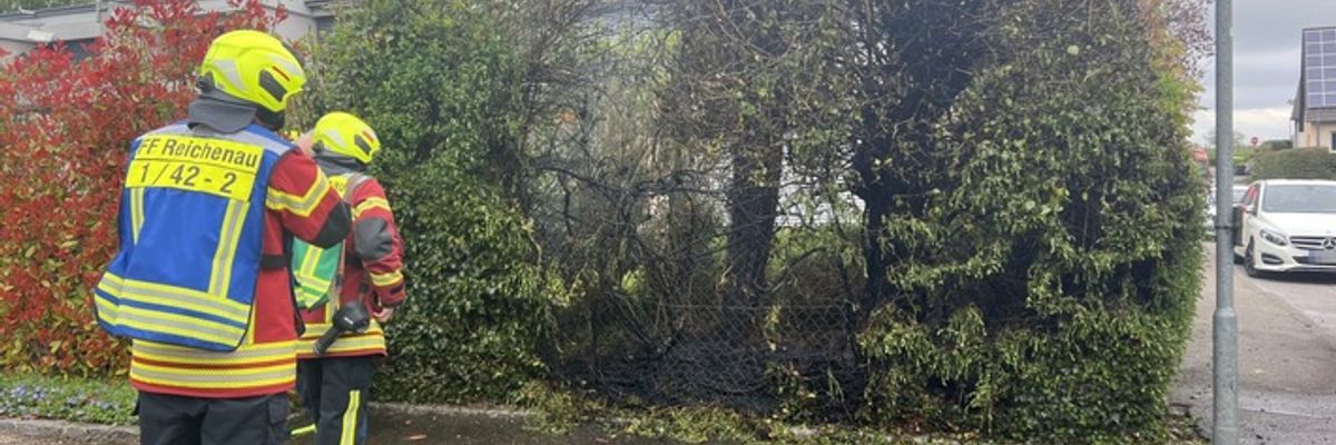 FW Reichenau: Brennende Hecke schnell gelöscht, Reichenau-Mittelzell, 16.04.2025