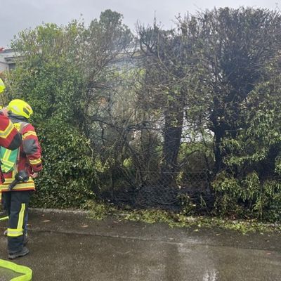 FW Reichenau: Brennende Hecke schnell gelöscht, Reichenau-Mittelzell, 16.04.2025