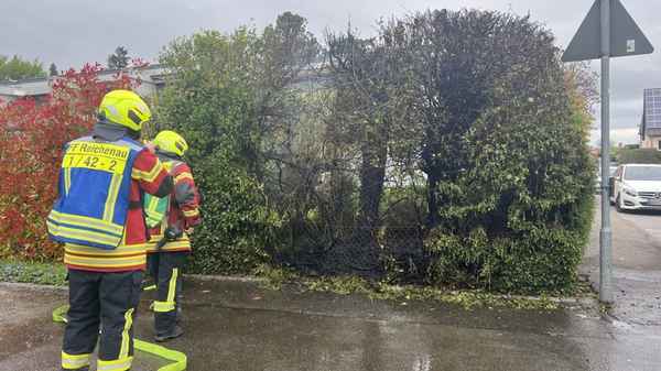 FW Reichenau: Brennende Hecke schnell gelöscht, Reichenau-Mittelzell, 16.04.2025