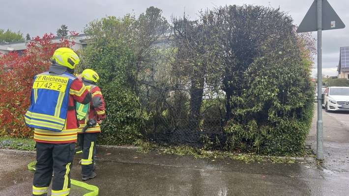 FW Reichenau: Brennende Hecke schnell gelöscht, Reichenau-Mittelzell, 16.04.2025