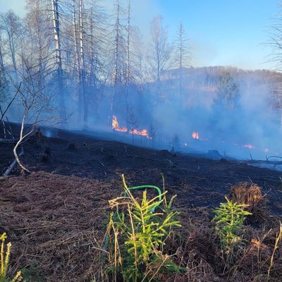 FW-EN: Waldbrand