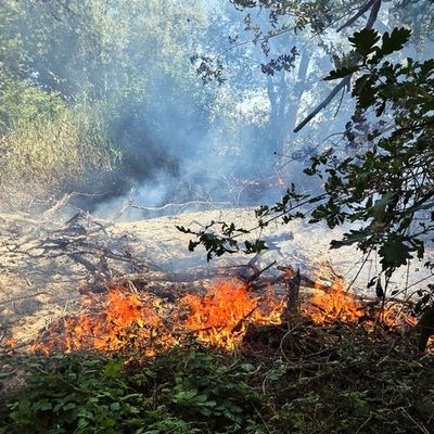 FW Konstanz: Einsatzreicher Tag für die Feuerwehr Konstanz