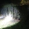 FW Lage: Feuer 2 - Heckenbrand - 05.04.25 - 22:30 Uhr