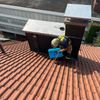 FW Stuttgart: Feuerwehr rettet vier Turmfalken aus aufgeheizter Blechverkleidung