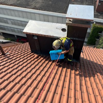 FW Stuttgart: Feuerwehr rettet vier Turmfalken aus aufgeheizter Blechverkleidung