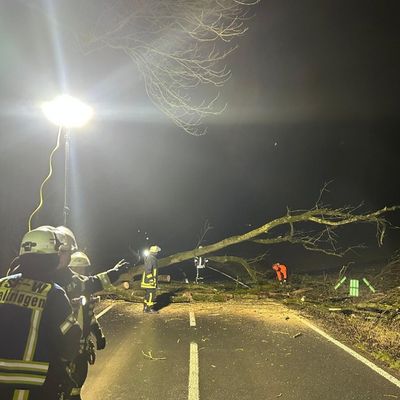 FW Ense: Baum auf Fahrbahn