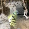 FW Ludwigshafen: Tierrettung (Hund in Fuchsbau eingeklemmt) in Ludwigshafen im Stadtteil Süd