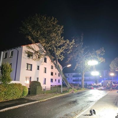 FW-BO: Sturmtief sorgt für 70 Einsätze - Feuerwehr Bochum arbeitet umfangreiche Unwetterlage ab