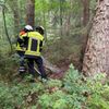 FW-ROW: Waldbrand bei Badenstedt: Rund 30 Einsatzkräfte vor Ort