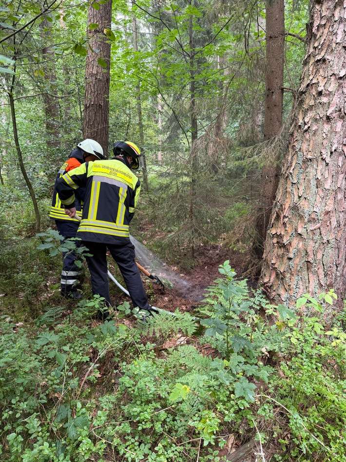 FW-ROW: Waldbrand bei Badenstedt: Rund 30 Einsatzkräfte vor Ort
