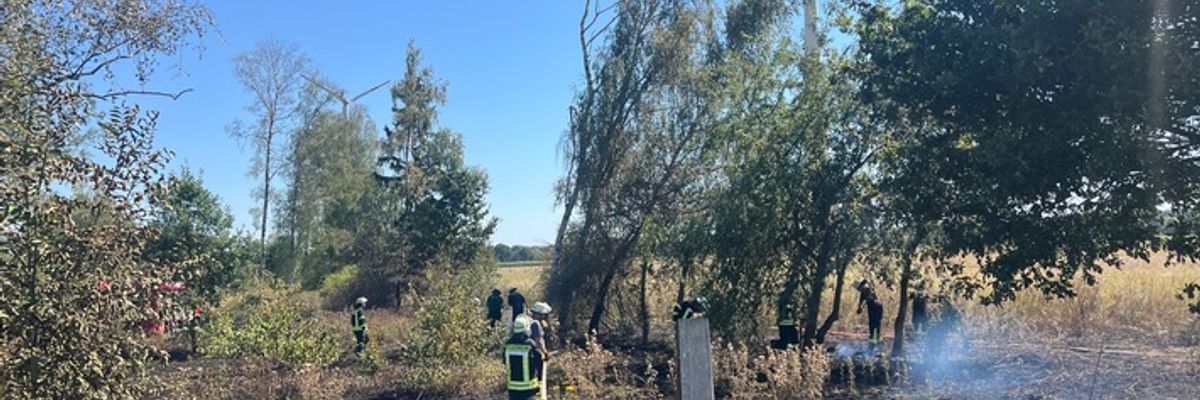 FW Petershagen: 300qm Grünfläche brennen
