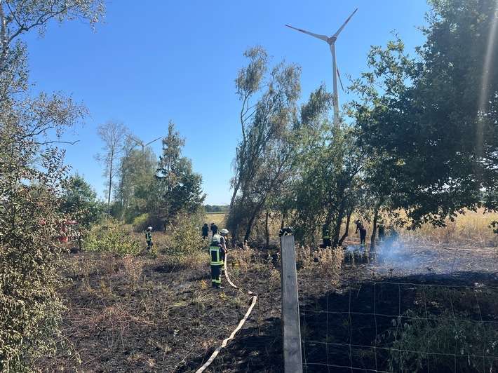 FW Petershagen: 300qm Grünfläche brennen