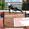 FW-EN: Leistungsnachweis 2026: Feuerwehren des Ennepe-Ruhr-Kreises zeigen ihr Können