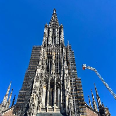 FW Konstanz: Erfolgreiche Teilnahme am 1. Ulmer Münsterturmlauf