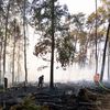 FW LK Neunkirchen: Großflächiger Waldbrand am Wingertsweiher fordert mehrere hundert Einsatzkräfte über zwei Tage
