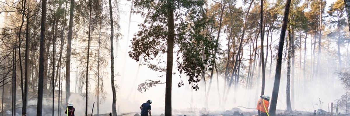FW LK Neunkirchen: Großflächiger Waldbrand am Wingertsweiher fordert mehrere hundert Einsatzkräfte über zwei Tage
