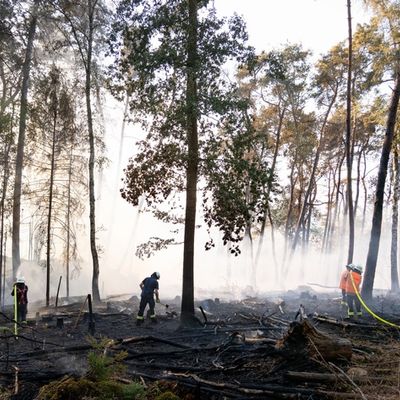 FW LK Neunkirchen: Großflächiger Waldbrand am Wingertsweiher fordert mehrere hundert Einsatzkräfte über zwei Tage