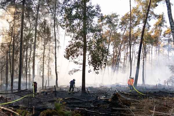 FW LK Neunkirchen: Großflächiger Waldbrand am Wingertsweiher fordert mehrere hundert Einsatzkräfte über zwei Tage