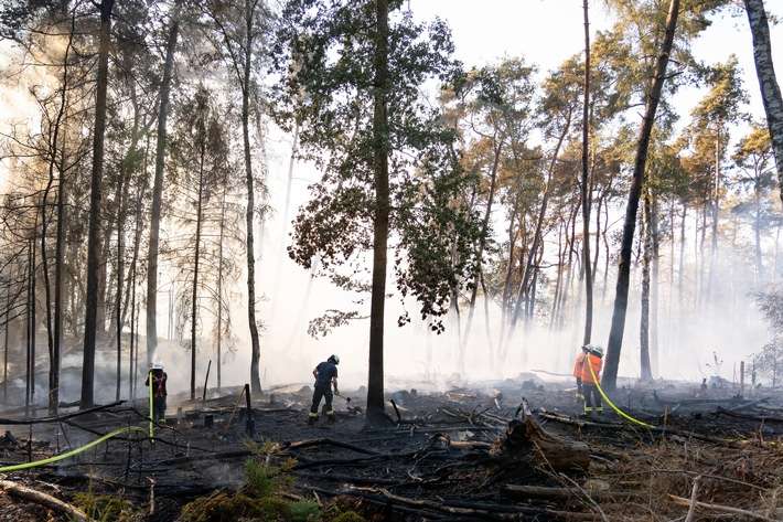 FW LK Neunkirchen: Großflächiger Waldbrand am Wingertsweiher fordert mehrere hundert Einsatzkräfte über zwei Tage