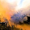 LfBK RLP: Wald- und Vegetationsbrände prägen das Wochenende